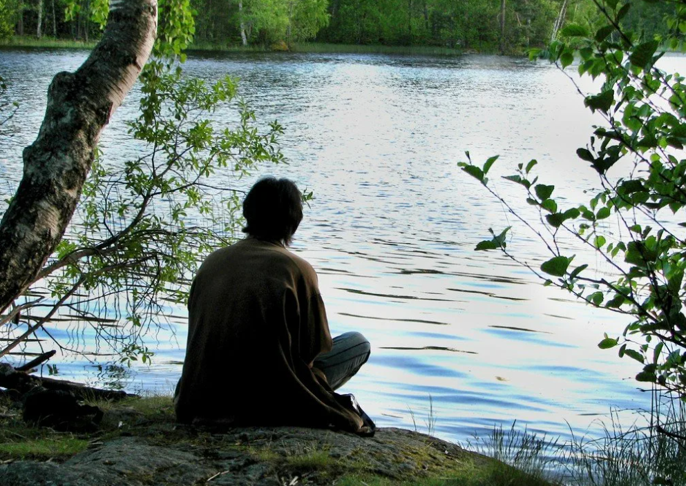 Яндекс картинки