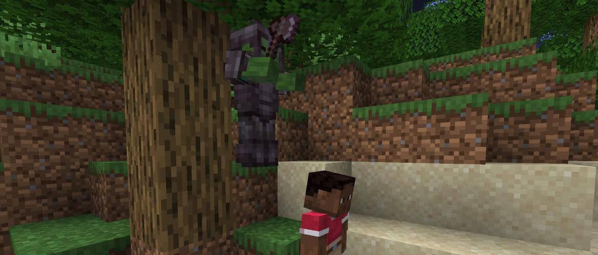 Новый снапшот 24w45a 🐈Изменения и исправления — Теперь котята и волчата получают ошейники такого же цвета, как у их родителей.— Длительность всех эффектов от подозрительного рагу теперь такая же, как на Bedrock Edition.— Была изменена система поднятия предметов у мобов.— Пчёлы больше не опыляют глазоцветы. — В качестве материала для отделки брони теперь используется смоляной кирпич, вместо смоляного сгустка.— Урон от падения больше не обнуляется при перезаходе в мир.