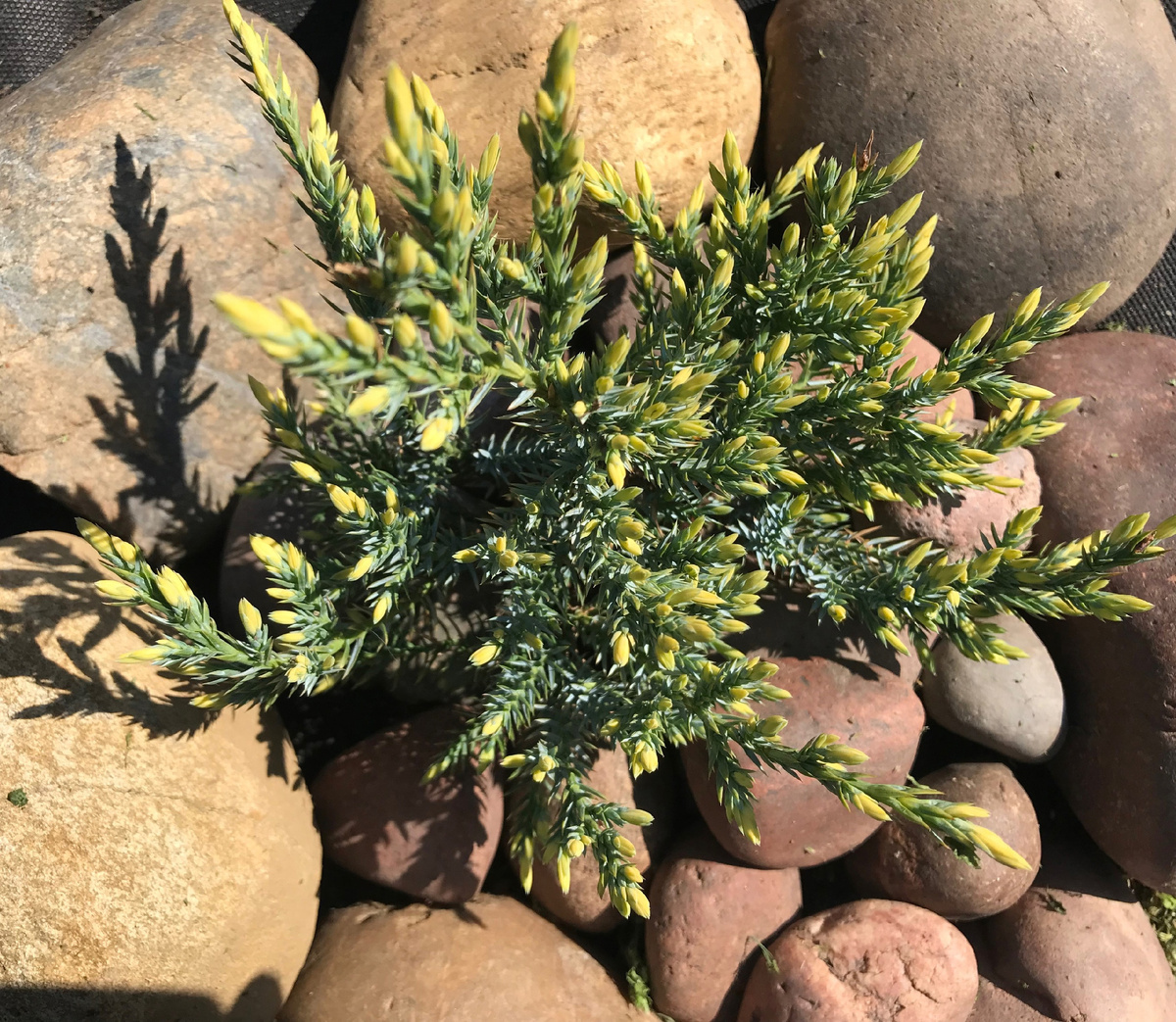 Апрель 2024 г.