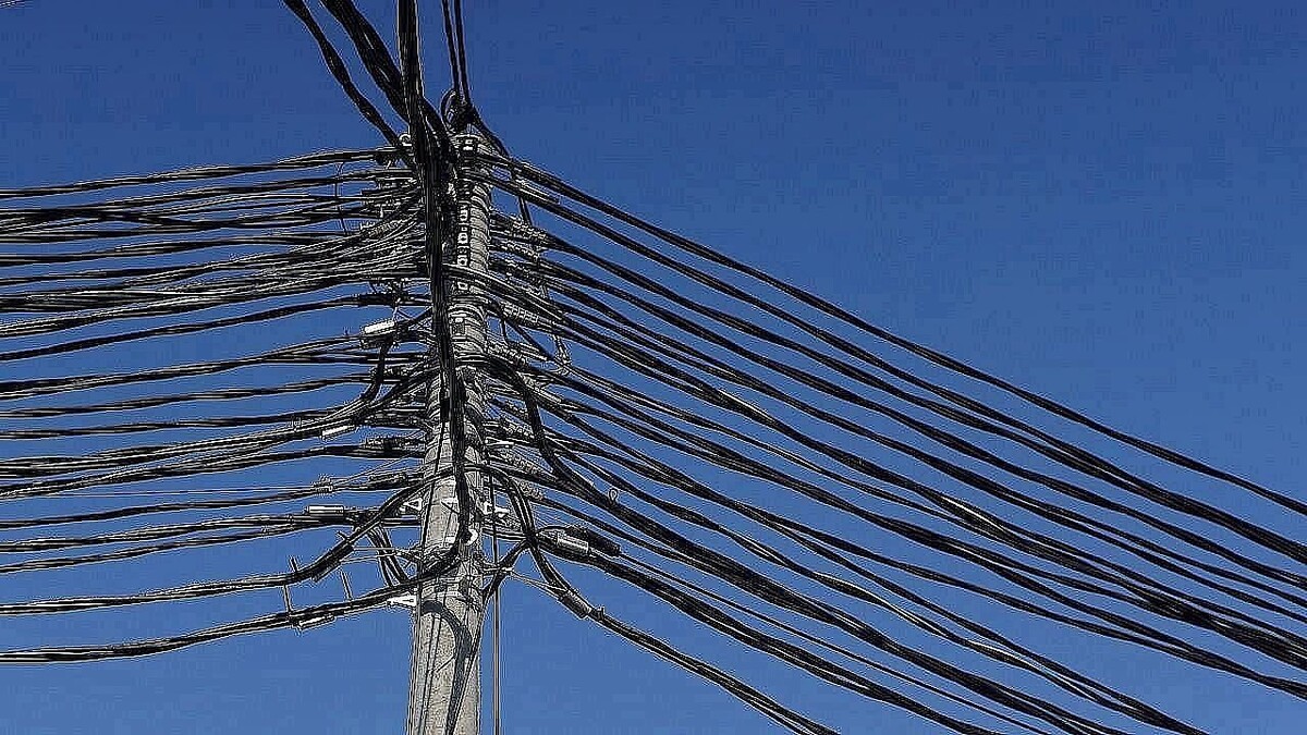    Фото: телеканал «Краснодар»