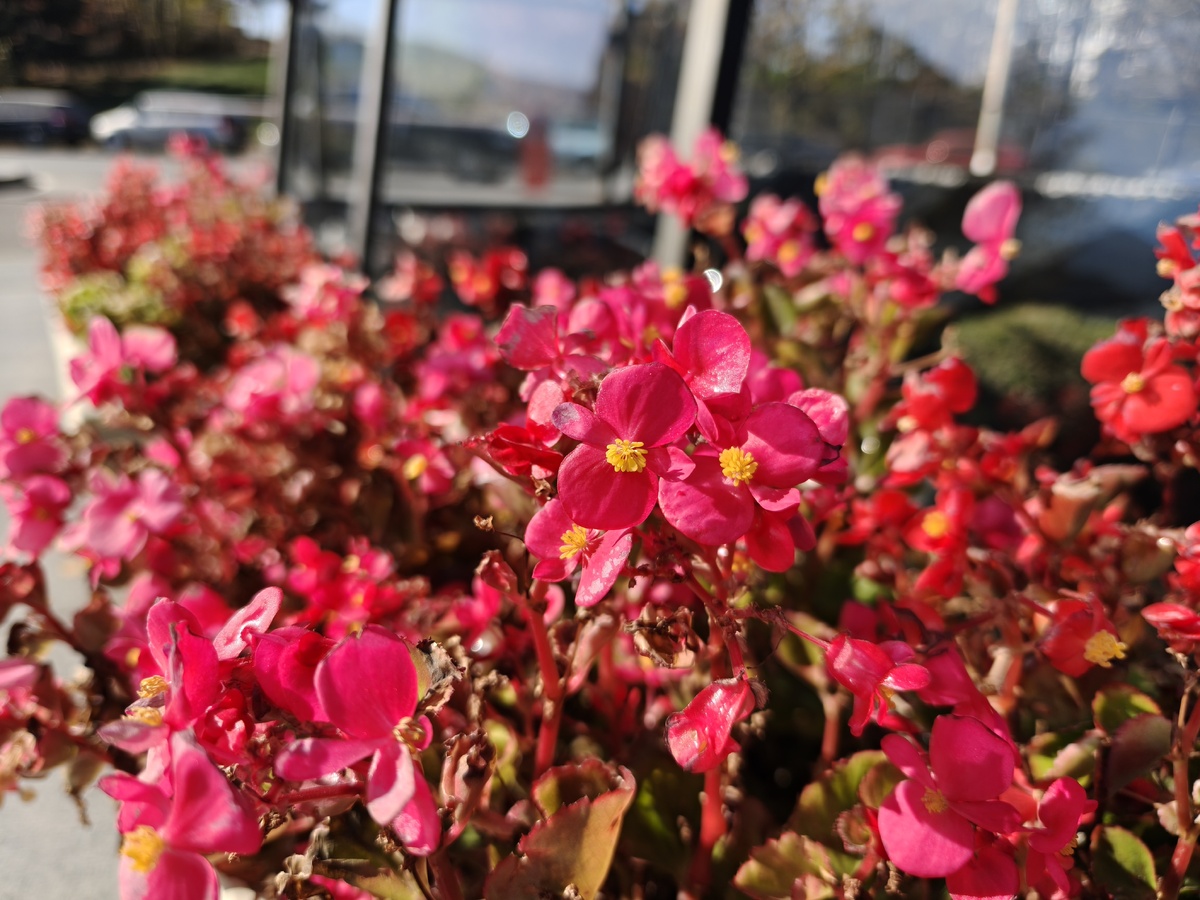    Основной датчик