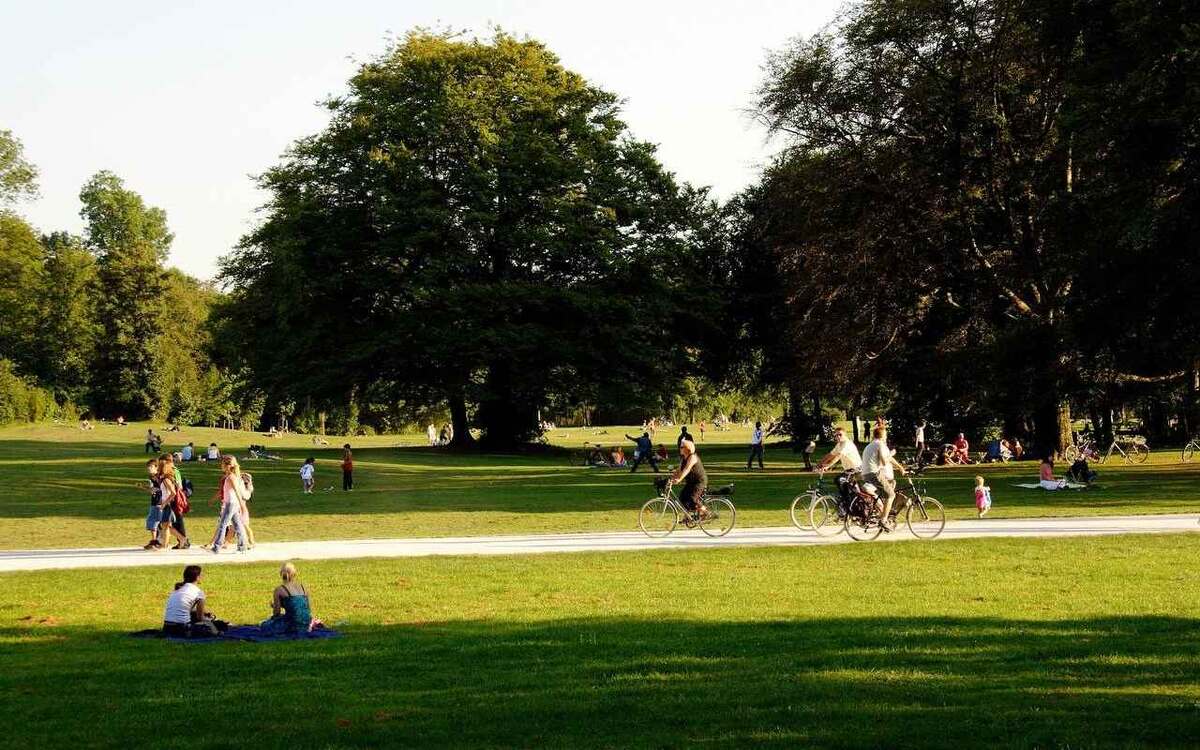    Черноземным регионам добавят 125 млн рублей дотаций Изображение: loon.site