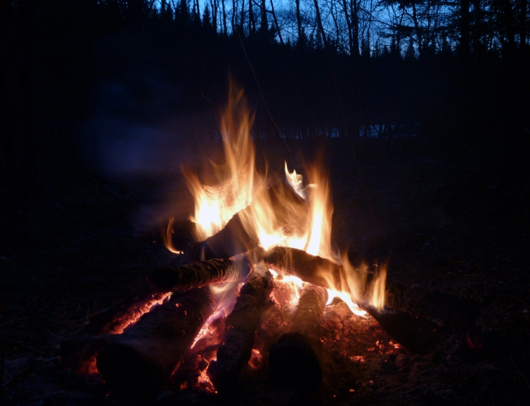 Яндекс.Картинки