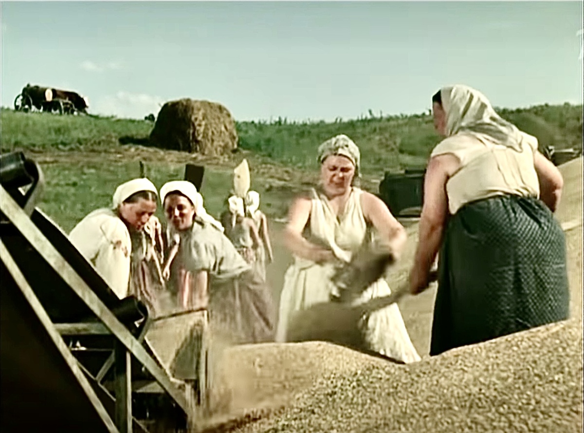 Фильм «Кубанские казаки». Предполагается, что полученного зерна хватит и на план, и на сверх плана, и на полные колхозные амбары.