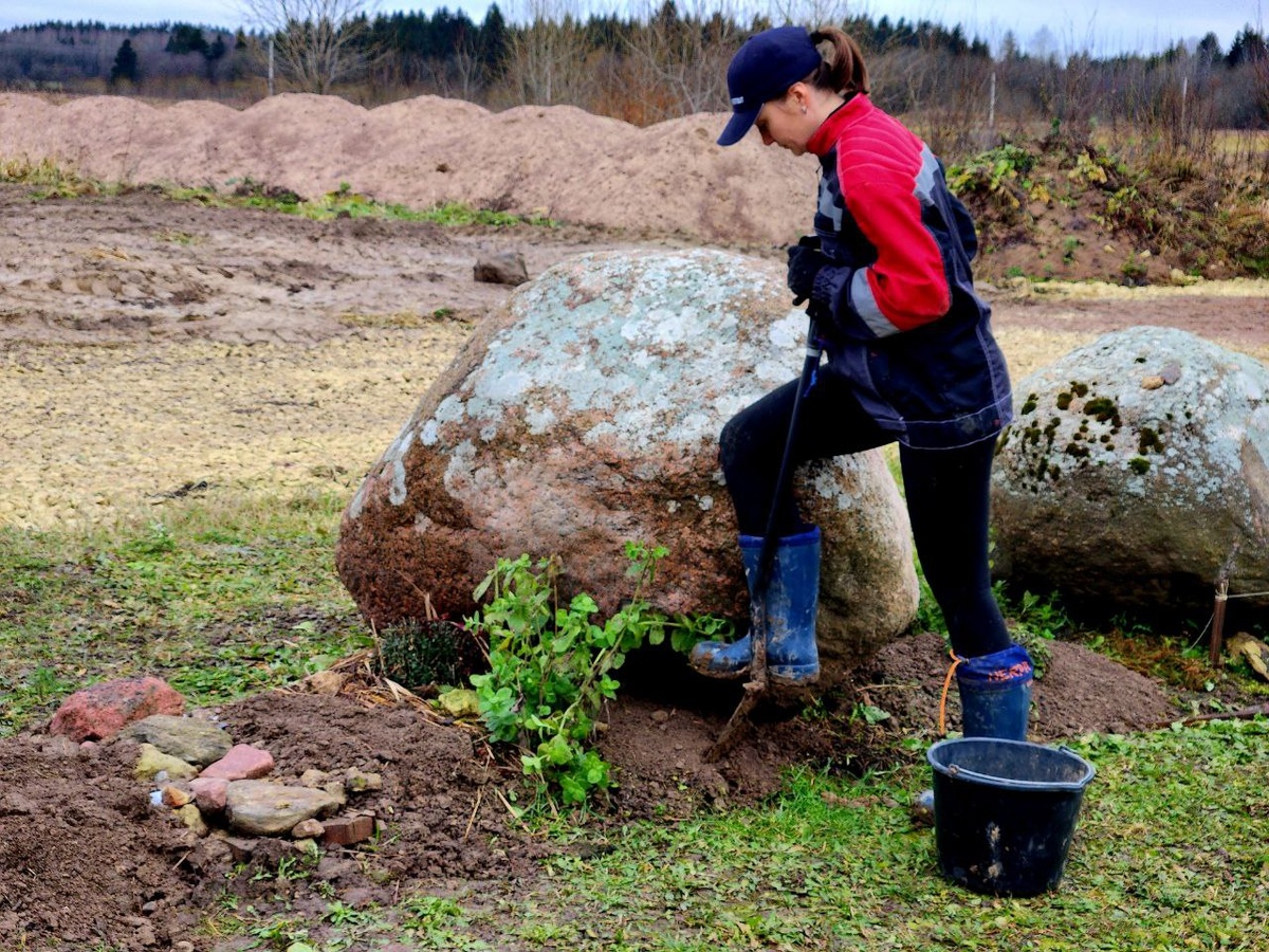 Анна Николаевна копает