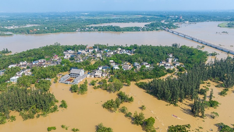    Автор фото: VCG/Visual China Group/ТАСС