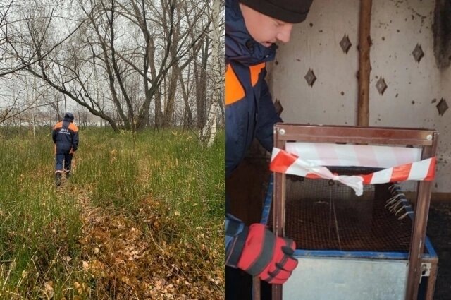 Поиски и попытки поймать бродягу 
