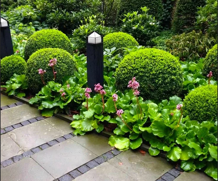 Ну как не влюбиться?