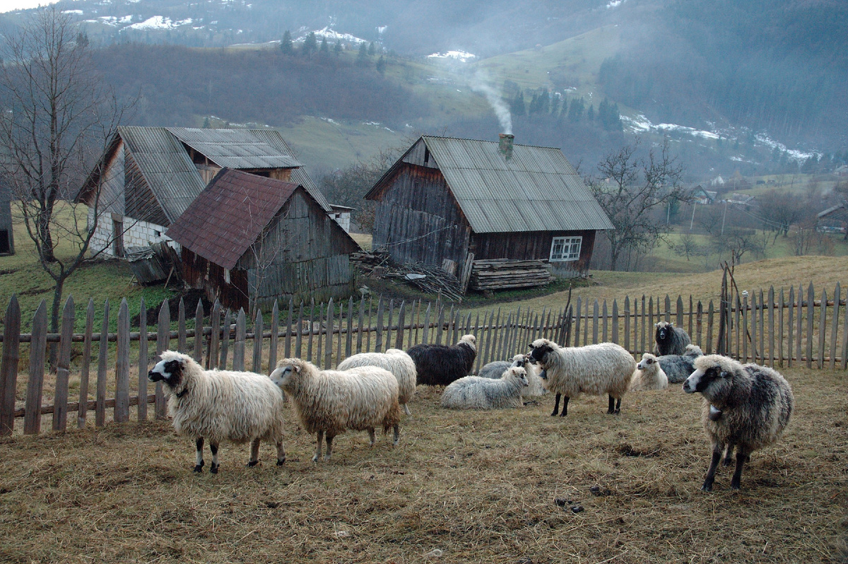 Miroslav Kushnirenko/Russian Look/Global Look Press