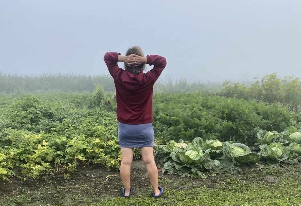 Автор сего канала смотрит в радужное будущее своего блога в Дзене. Оно туманно.