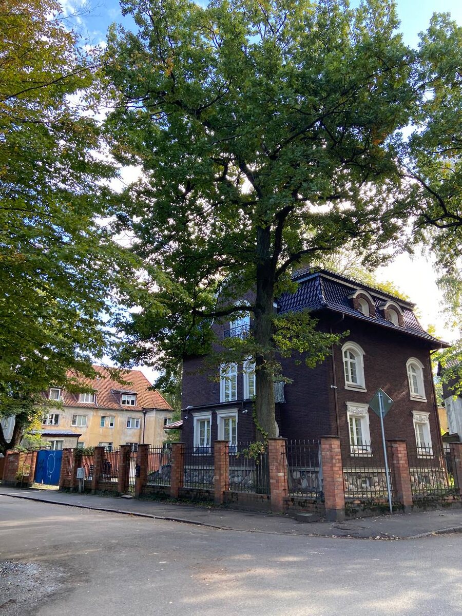 Пекарня «Лев Бородинский» в районе Амалиенау