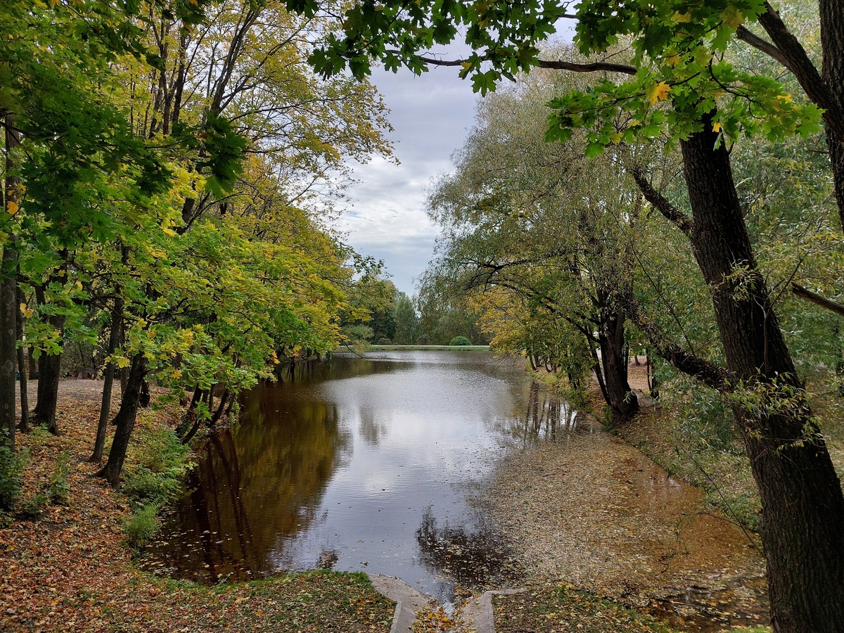 Большое Болдино, осень 2024 г. (фото автора)