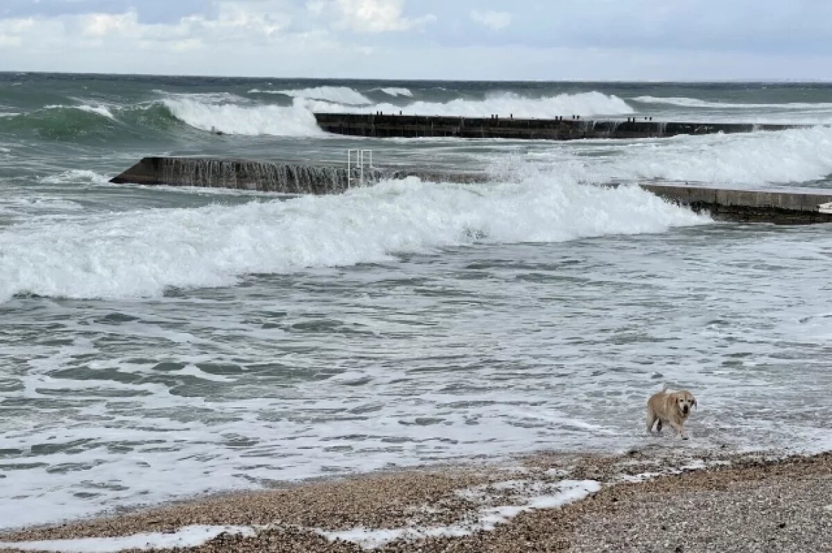    В Севастополе 8 ноября Черноморский флот проводит тренировки