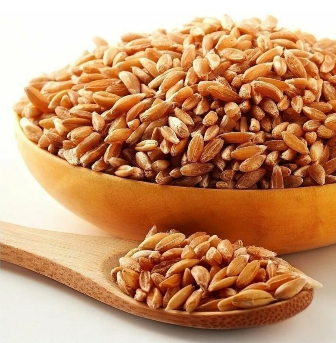 Её величество - крупа полба