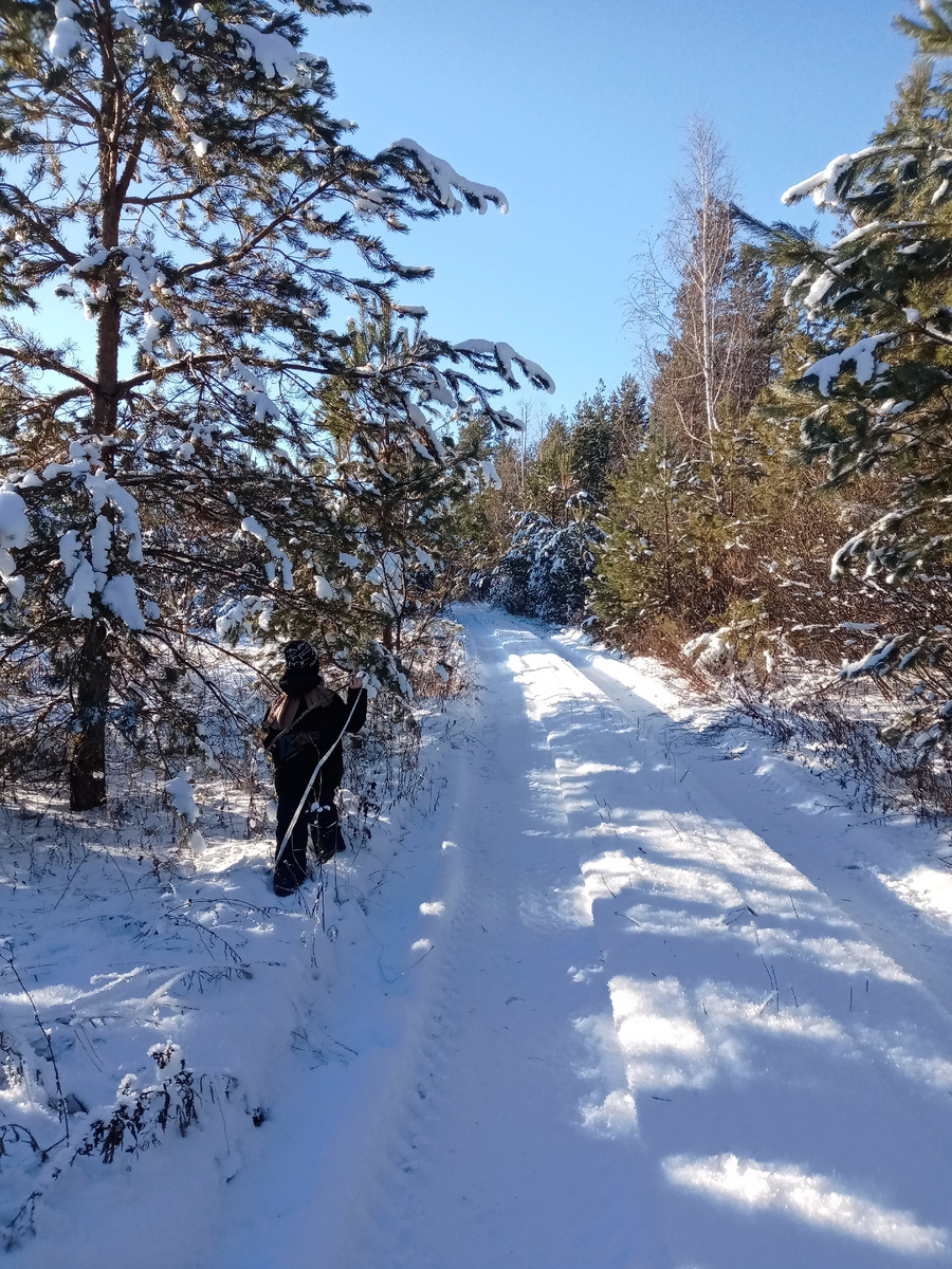 Фото из архива. Прогулка в лесу. 