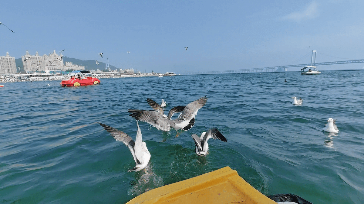 Gif от автора