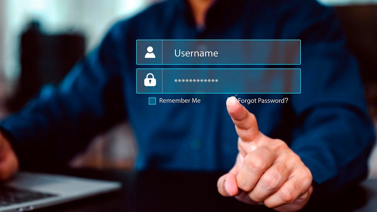 Изображение взято из открытых источников