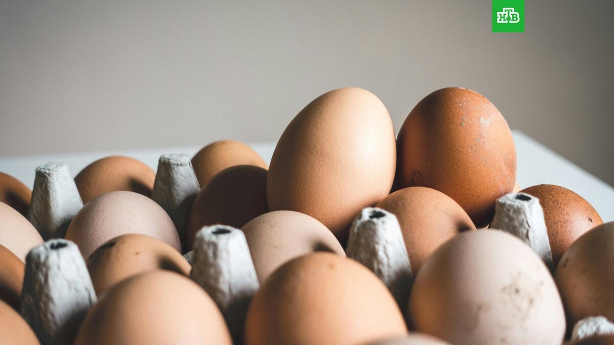    Фото: Jakub Kapusnak / unsplash.com