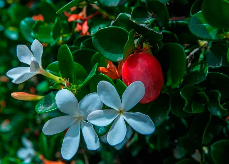 Какая же она красивая!