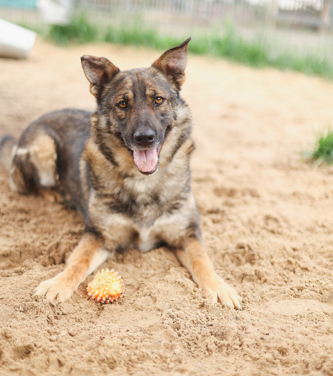 Мне говорят, что я до сих пор еще малыш