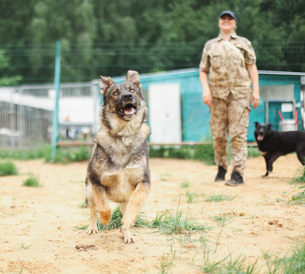 Я не наивный. Я просто очень верующий в хорошее