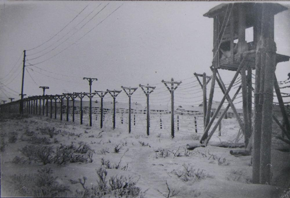 Фото 2. Столбы с колючей проволокой в советском концлагере (Фото отсюда: https://dzen.ru/a/Yn6IHHfWsmkyPGZq).