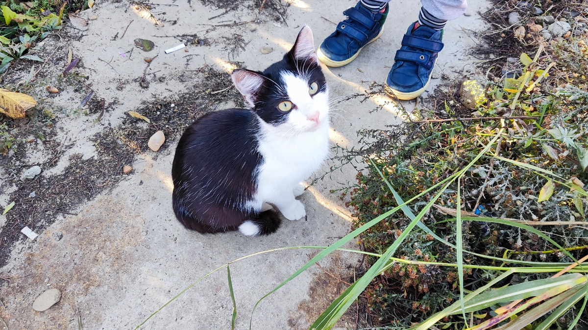 Бэт следит, чтобы мы хорошо работали. 