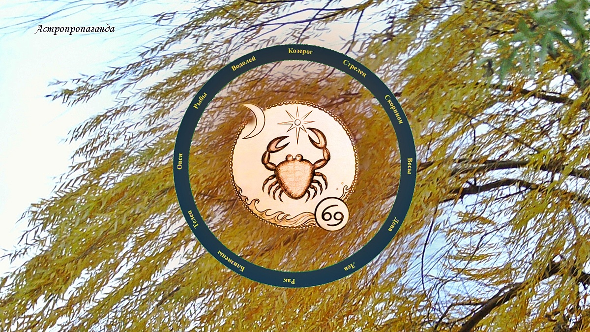 Знак Рака: гороскоп на ноябрь 2024 | Гороскоп для Рака с 4 ноября по 1 декабря 2024. 