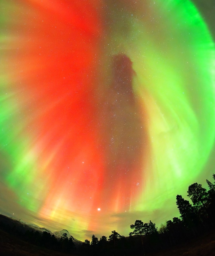 vedmakaterina@ya.ru отзывы приворот рассорка