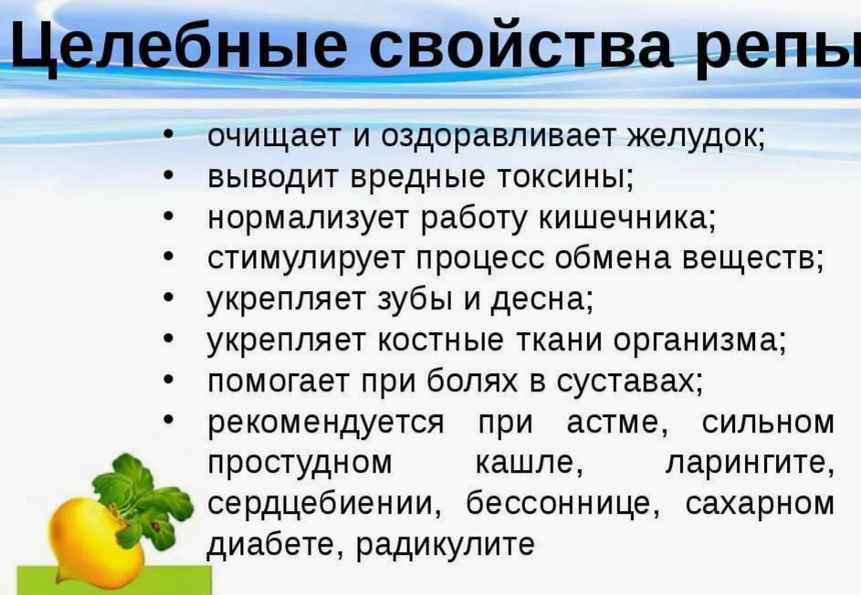 Полезные свойства репы для организма человека
