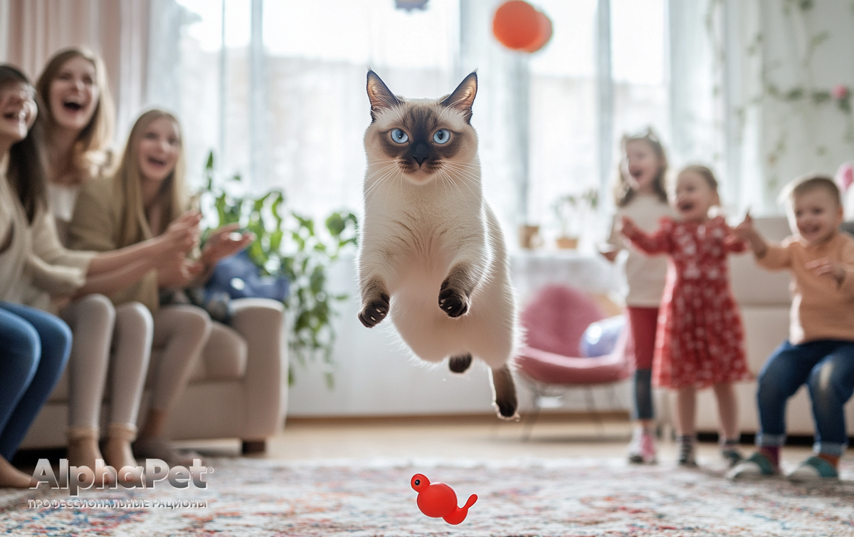 Сиамская кошка / Изображение: AlphaPet