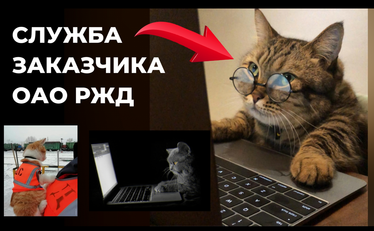 Служба заказчика