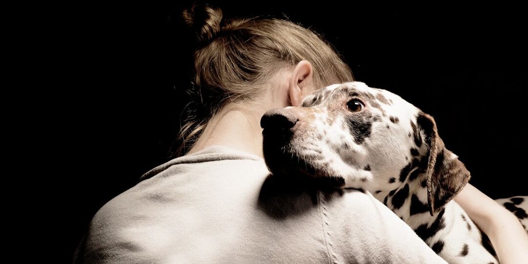 Как пережить смерть собаки: 7 шагов к исцелению