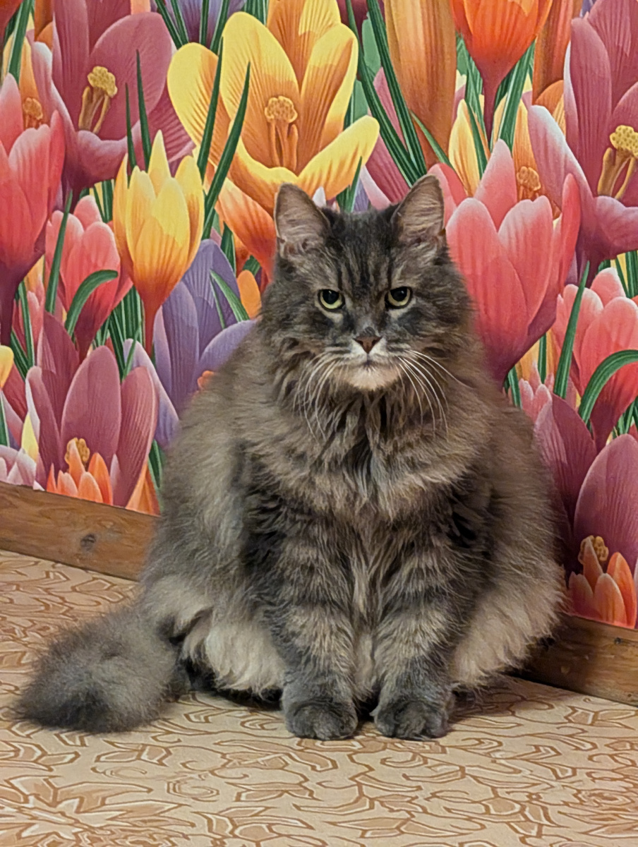 Шикарный Дыма:)