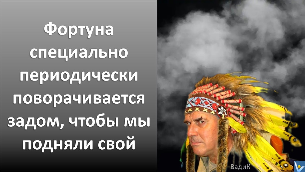 Вадим Котельников юмористическая цитата Удача специально поворачивается задом, чтобы мы подняли свой