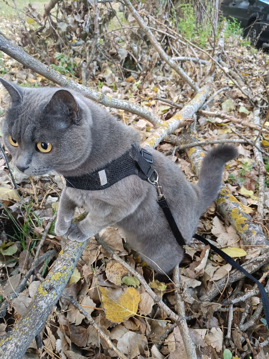 Октябрьская прогулка