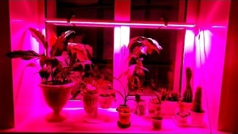 Фото с pinterest.com