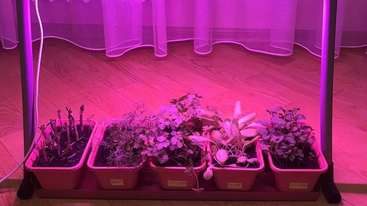 Фото с pinterest.com