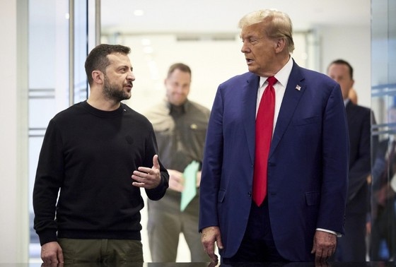    Владимир Зеленский и Дональд Трамп