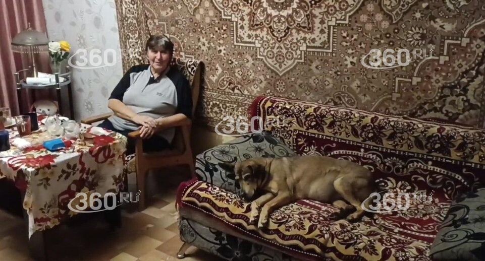    Телеканал «360»