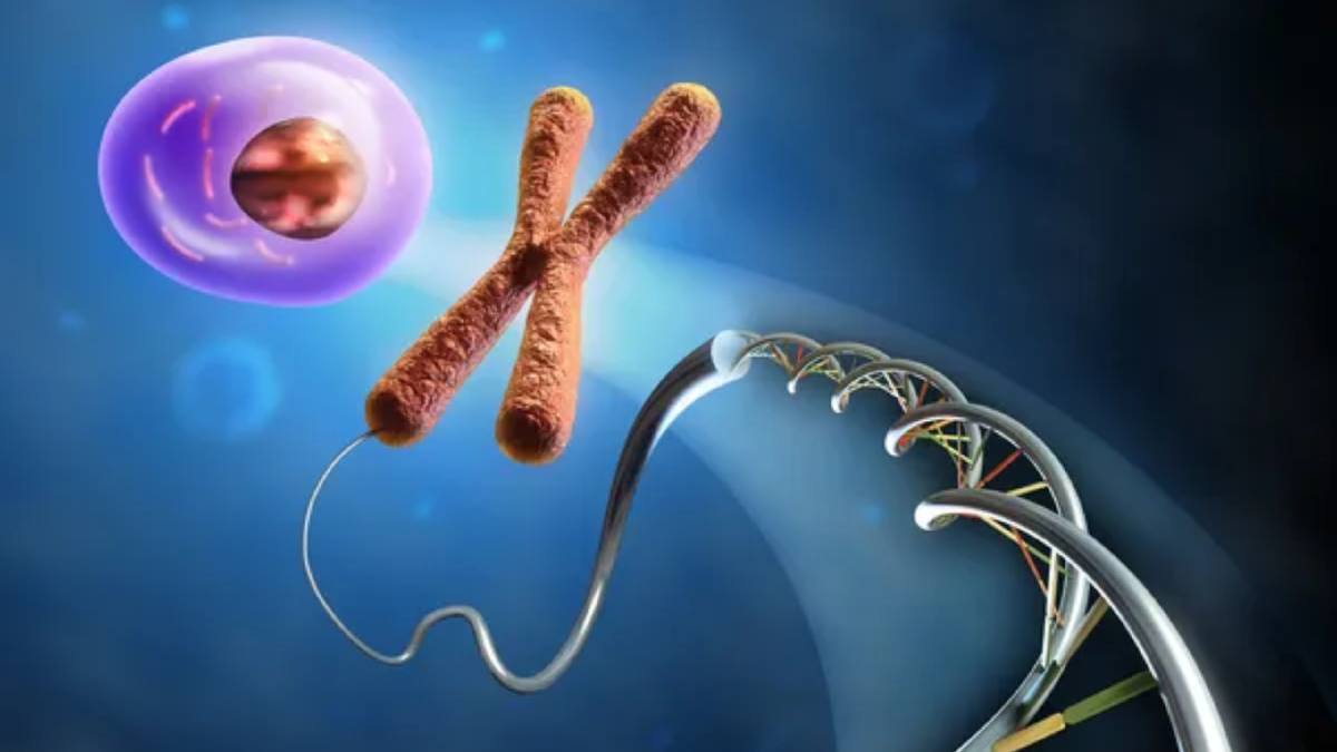 Иллюстрация, условно демонстрирующая образование клетки человека из ДНК и хромосом. Источник изображения: depositphotos.com