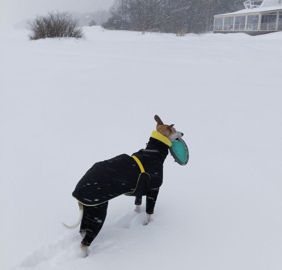Зима и сугробы нам в удовольствие