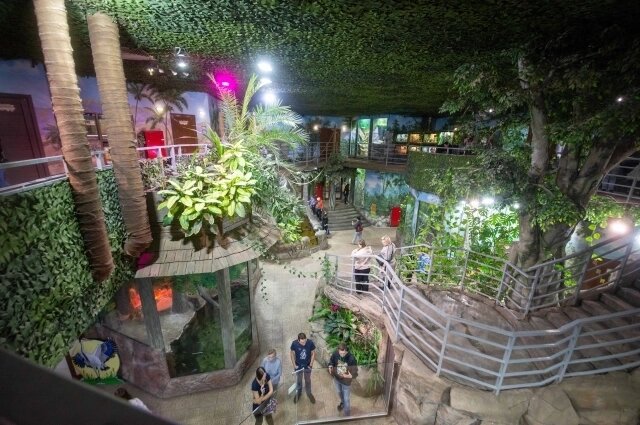    Фото: АиФ в Туле/ Кирилл Романов