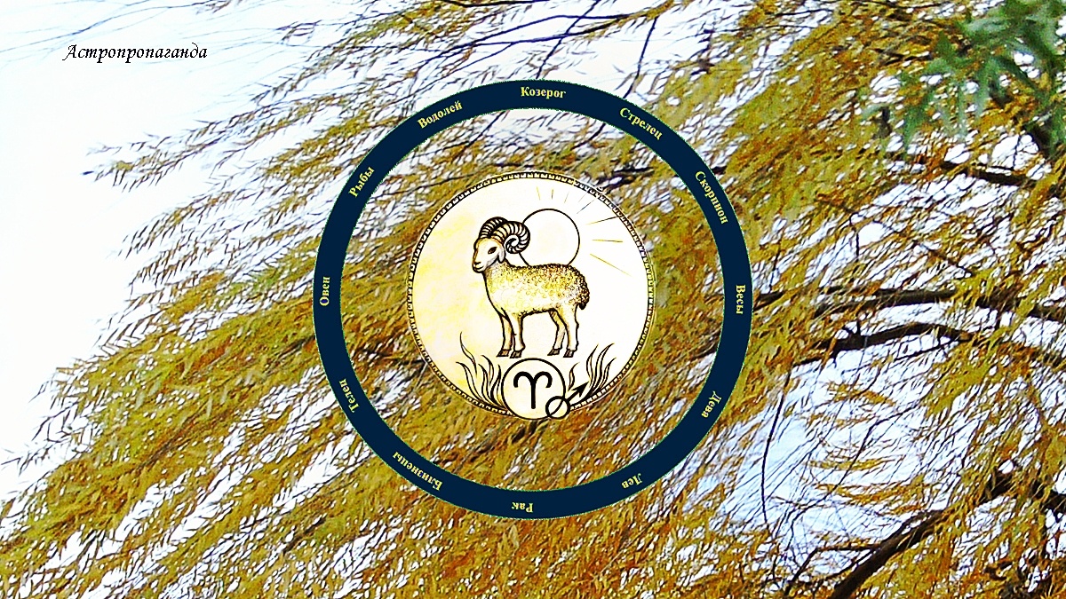 Знак Овна: гороскоп на ноябрь 2024 | Гороскоп для Овна с 4 ноября по 1 декабря 2024. 