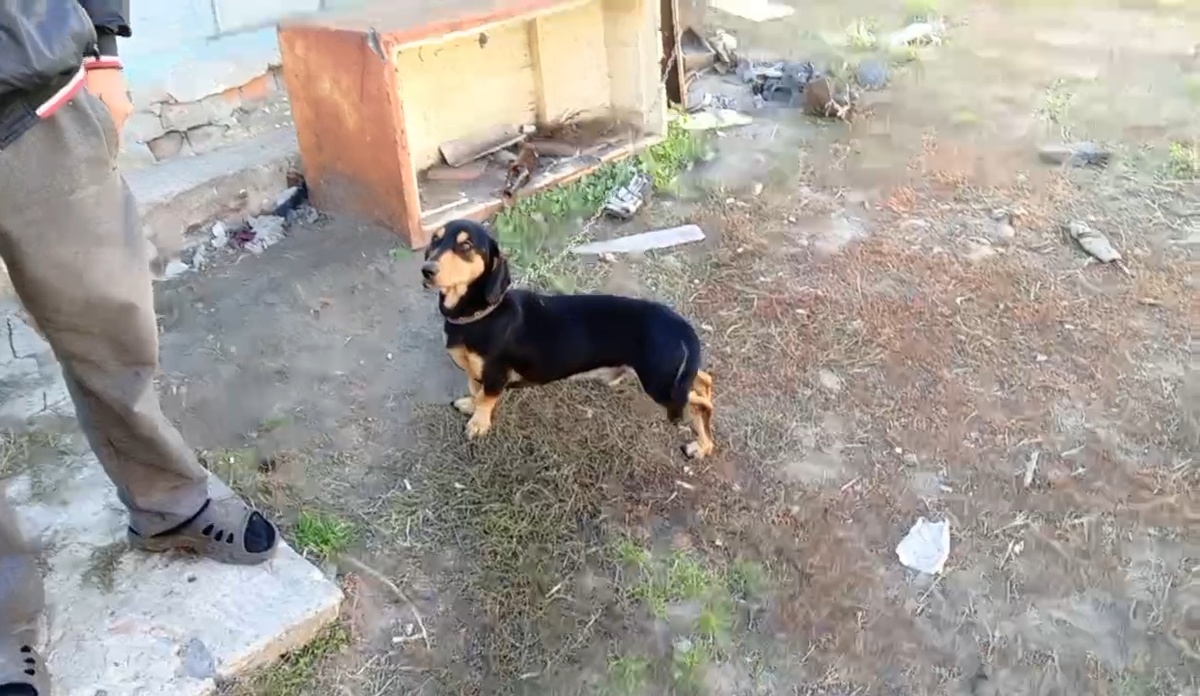 Тема и тот самый холодильник..