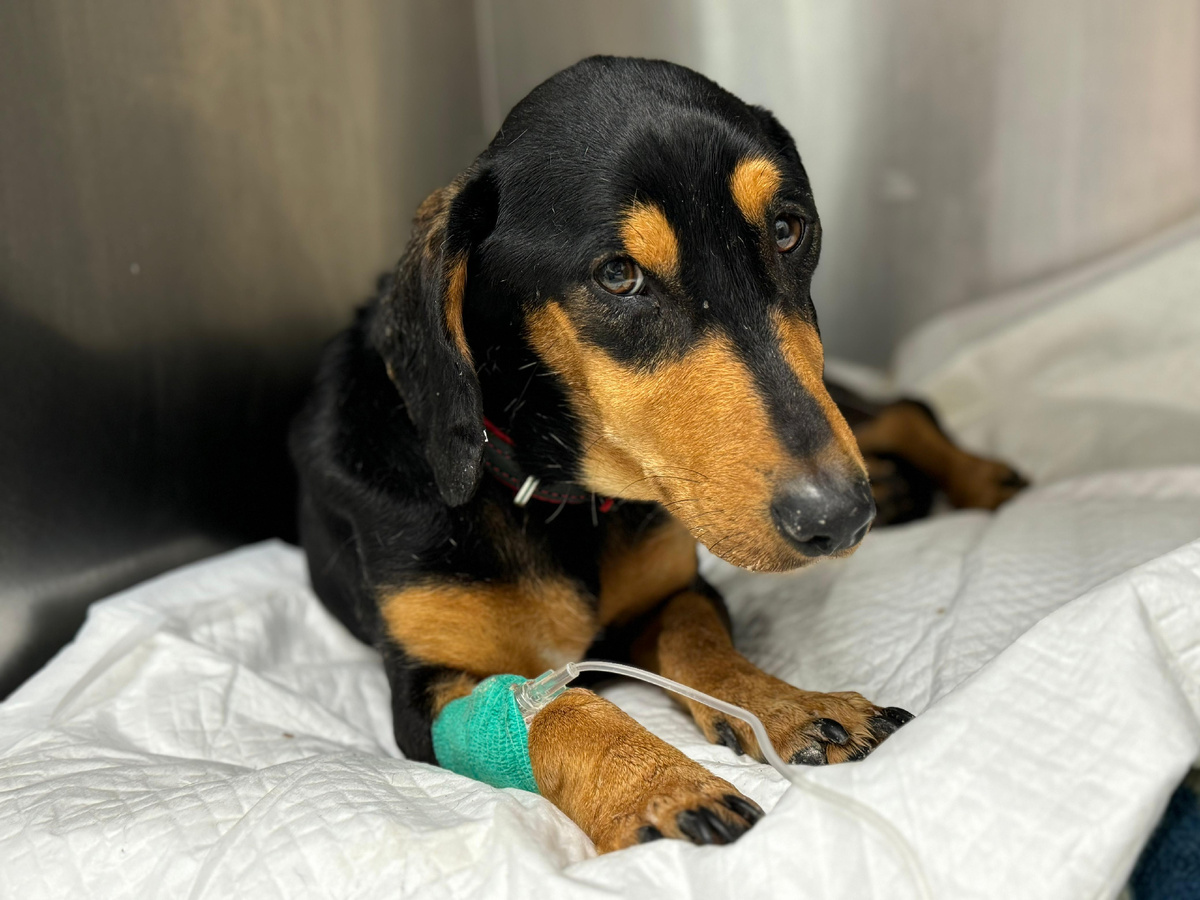 Тёма. Первые дни в клинике 