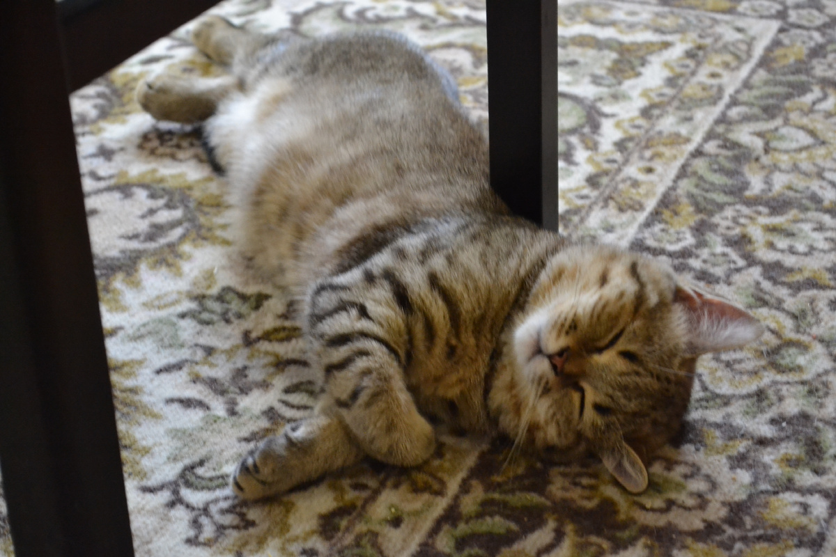 Это он маленький