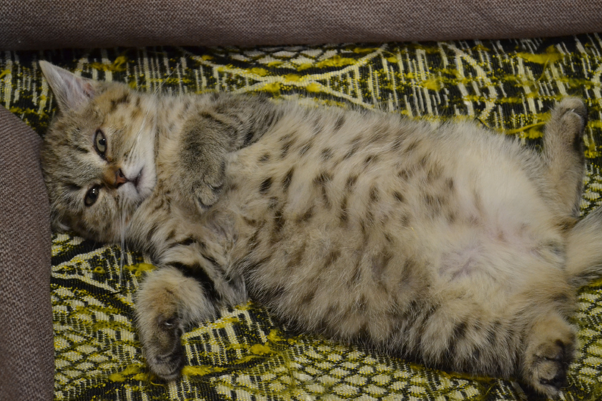 Расслабился