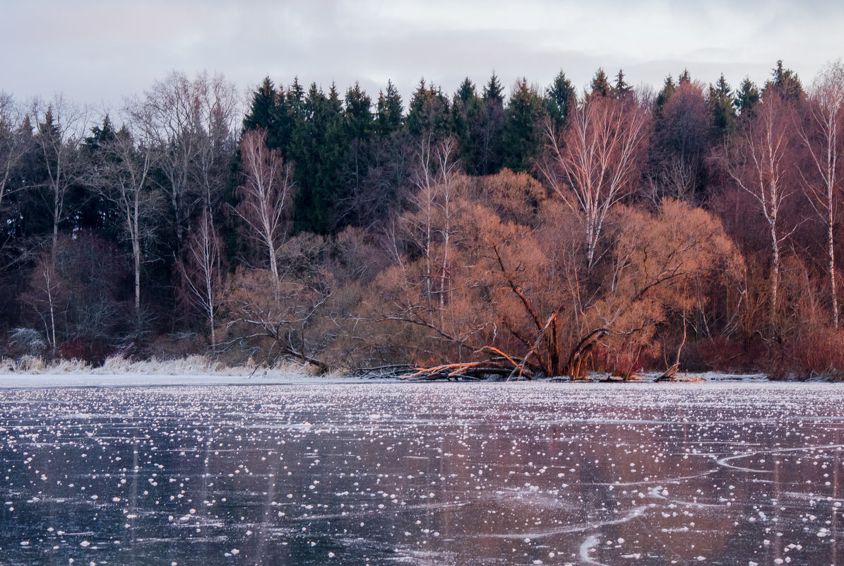Изображение из открытых источников