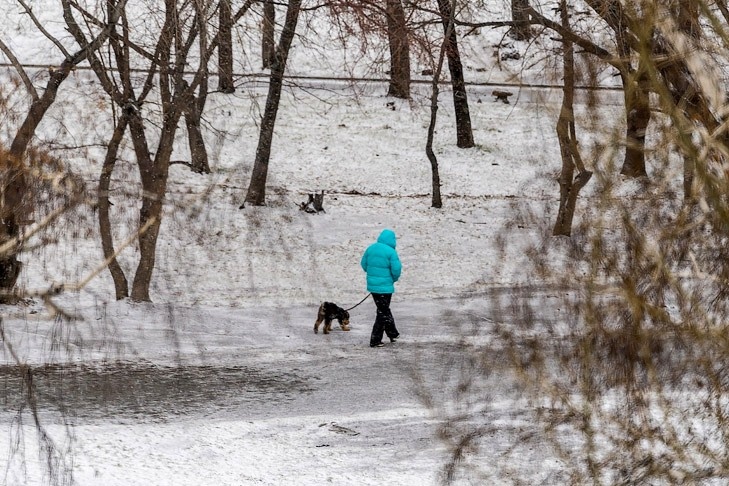    Фото Андрея Заржецкого